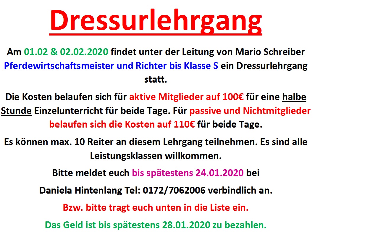 Dressurlehrgang Mario Schreiber